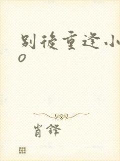 别后重逢小说po