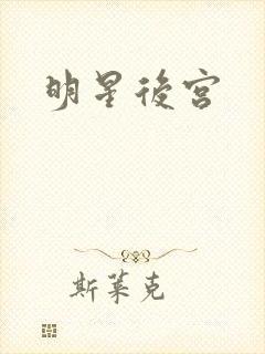 明星后宫