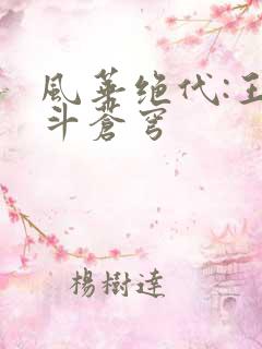 风华绝代:王妃斗苍穹