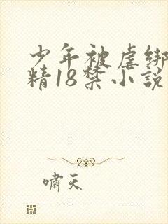 少年被虐绑着榨精18禁小说