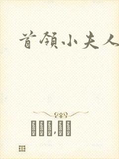 首领小夫人