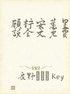 顾柠安叶昱城小说全文免费阅读