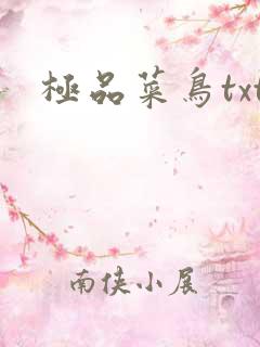 极品菜鸟txt