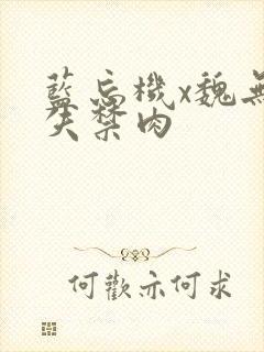 蓝忘机x魏无羡失禁肉