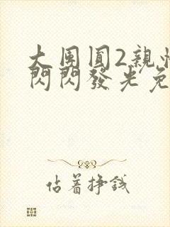 大团圆2亲情会闪闪发光免费