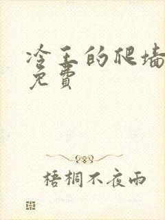 冷王的爬墙丑妃免费