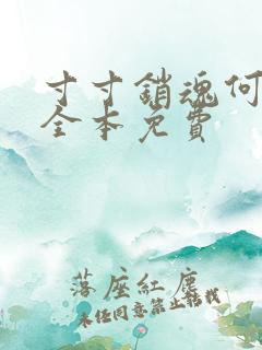 寸寸销魂何生祥全本免费