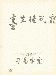 重生后我宠冠东宫