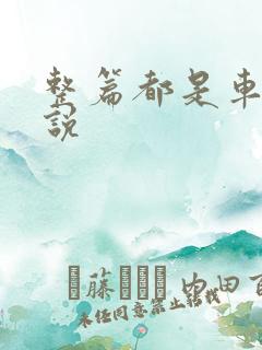 整篇都是车的小说