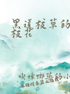 黑道校草的黑道校花