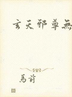 玄天邪尊无弹窗