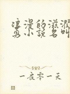 浪漫的滋润刘大勇小说名叫什么?