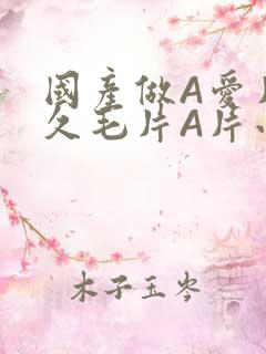 国产做A爱片久久毛片A片小说