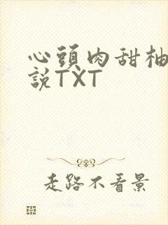 心头肉甜柚子小说TXT