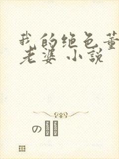 我的绝色董事长老婆 小说