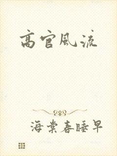 高官风流