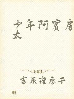 少年阿宾房东太太