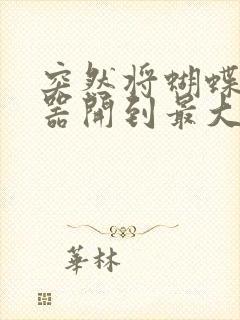 突然将蝴蝶遥控器开到最大