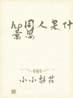 hp同人是什么意思