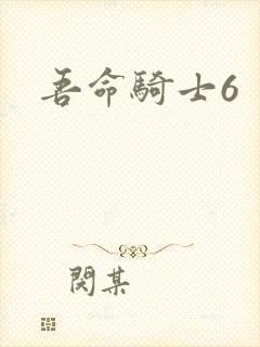 吾命骑士6