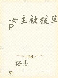 女主被校草们NP
