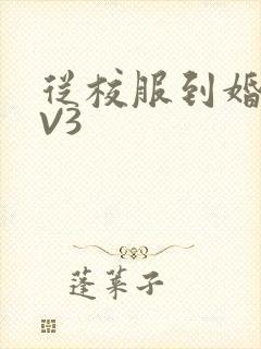 从校服到婚纱1V3