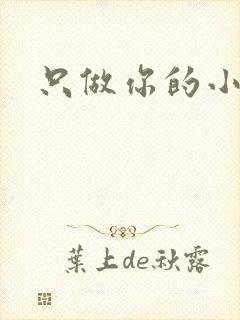 只做你的小软糖