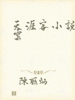 天涯客小说百度云