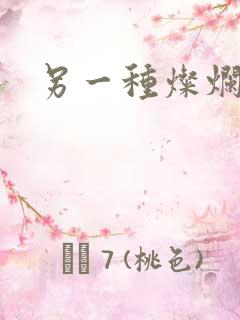 另一种灿烂生活