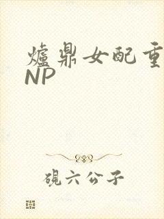 炉鼎女配重生之NP