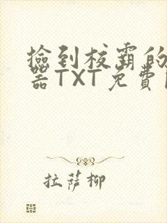 捡到校霸的遥控器TXT免费阅读