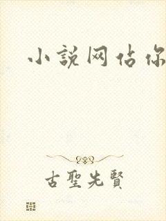 小说网站你懂的