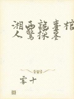 湘西诡事棺山道人惊探墓