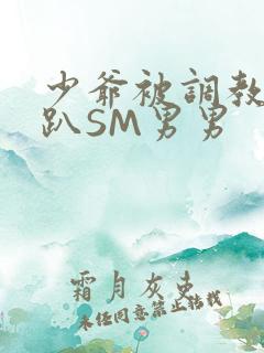 少爷被调教室跪趴SM男男