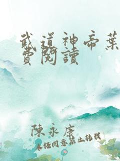 武道神帝叶辰免费阅读