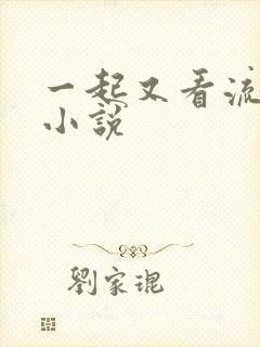 一起又看流星雨小说