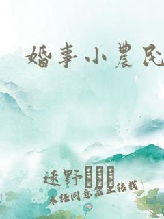 婚事小农民