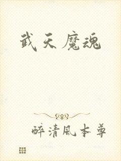 武天魔魂