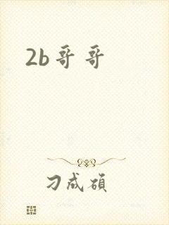 2b哥哥