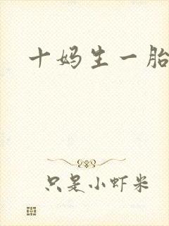 十妈生一胎