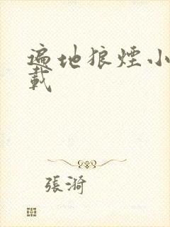 遍地狼烟小说下载