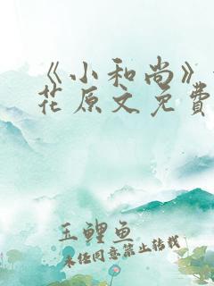 《小和尚》金银花原文免费