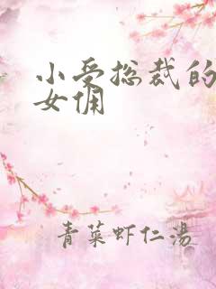 小受总裁的野蛮女佣