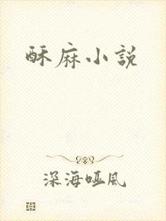 酥麻小说