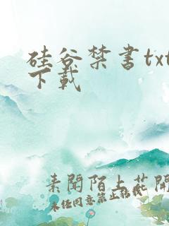 硅谷禁书txt下载