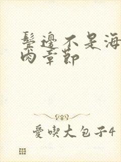 鬓边不是海棠红肉章节