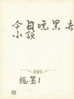 今日晚黑去见你小说