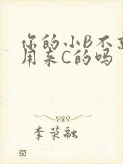 你的小B不就是用来C的吗