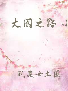 大国之路 小说