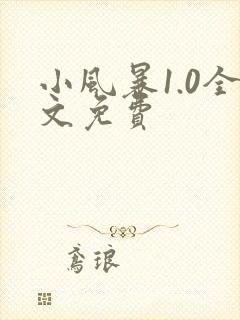 小风暴1.0全文免费